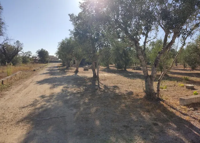 Hébergement de vacances Li Piperi Seclì