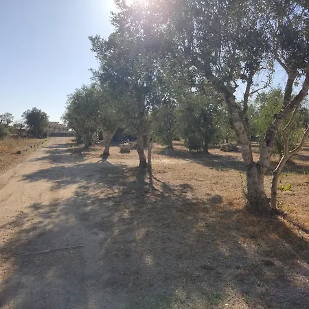 Hébergement de vacances Li Piperi Seclì
